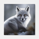 Search for artic magnets Wildlife