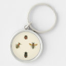 Search for border round key rings Nature