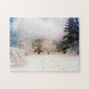 Search for snow storm puzzles Season