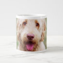 Search for goldendoodle mugs Dog