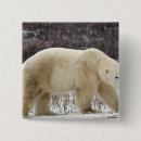 Search for ursus badges Wildlife
