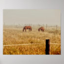 Search for decoupage posters Floral