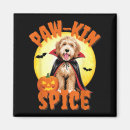 Search for fall fairy magnets Pumpkin spice