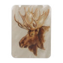 Search for animals magnets Wildlife