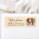 Search for brittany return address labels Dog