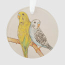 Search for parakeet christmas tree decorations Feather