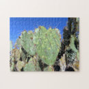 Search for pear photography Cacti