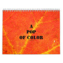 Search for colours calendars Pink
