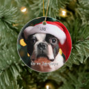Search for boston christmas tree decorations Puppy