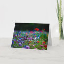 Search for colourful photo cards Flowers