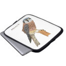 Search for hawk electronics Bird of prey