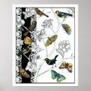 Search for white and black butterfly posters Design