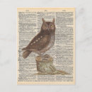 Search for dictionary postcards Vintage
