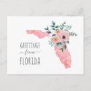 Search for florida postcards Greetings