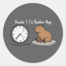 Search for capybara crafts party Humour
