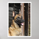 Search for guards posters Photograph