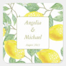 Search for lemon leaves stickers Yellow