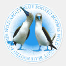 Search for foot stickers Wildlife