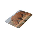 Search for photo bath mats Water