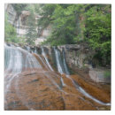 Search for zion tiles Usa