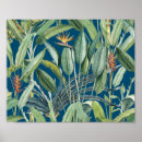 Search for bird of paradise art posters Strelitzia
