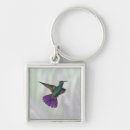 Search for big green key rings Birds around the world
