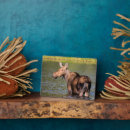 Search for danita delimont plaques Montana