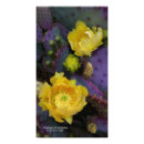 Search for southwest designs posters Cactus