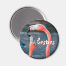 Search for waterfowl magnets Flamingo