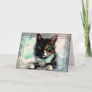 Search for cat pet cards Kitten