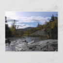 Search for swift Autumn