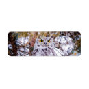 Search for owl return address labels Nature
