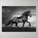 Search for prance posters Prancing