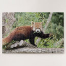 Search for home decor puzzles Modern