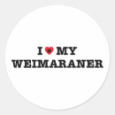 Search for weimaraner stickers Lover
