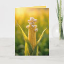 Search for corn vegetable cards Agriculture