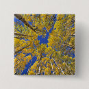 Search for fall colour badges Tree