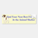Search for dog pound Humane