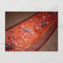 Search for microscopic postcards View