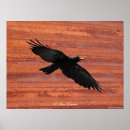 Search for celtic raven art Ravens