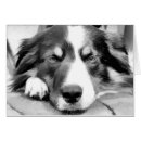 Search for black sheep cards Pet