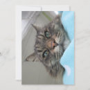 Search for day dreaming cards Funny
