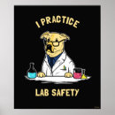 Search for lab safety posters Science