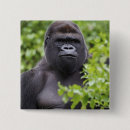 Search for captivating badges Mammal