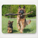 Search for german shepherd mousepads Puppies