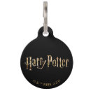Search for wizard pet supplies Witch