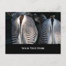 Search for funny wildlife postcards Cute