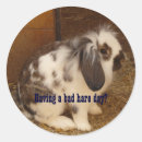 Search for bad stickers Bunny