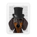 Search for dachshund magnets Steampunk