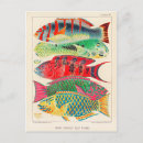 Search for great barrier reef postcards Illustration